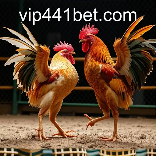 Exploring the Phenomenon of Online Sabong with 441bet
